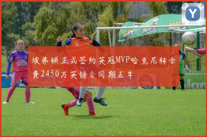 埃弗顿正式签约英冠MVP哈克尼转会费2450万英镑合同期五年
